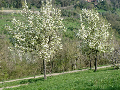 immagine evento